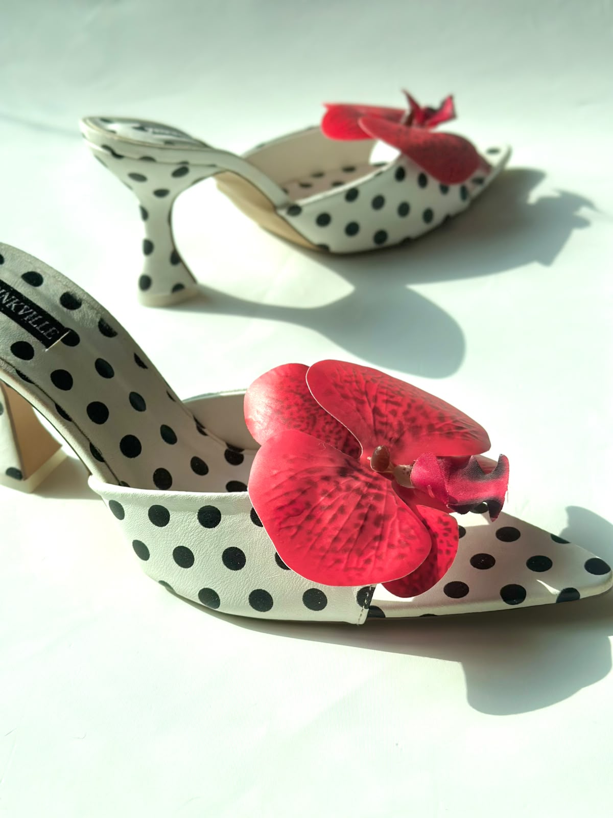 Rossane x Polka