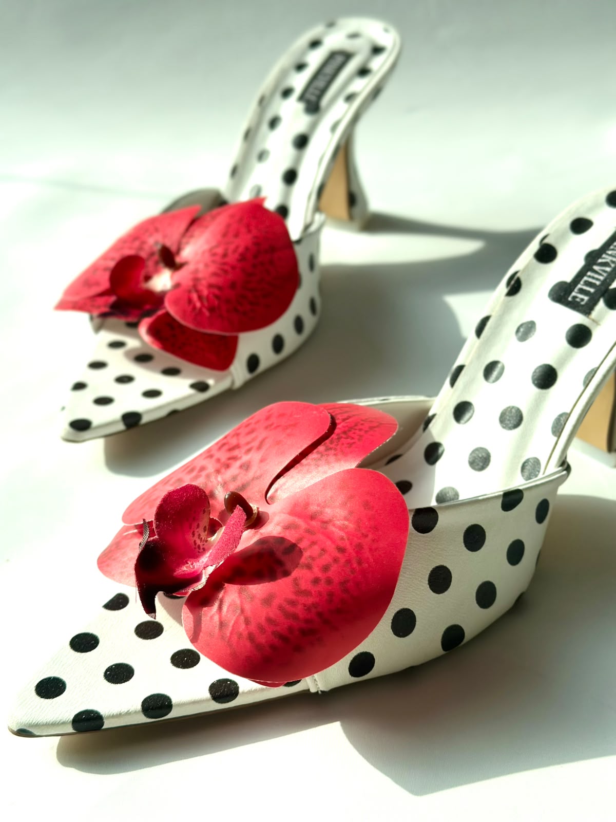 Rossane x Polka