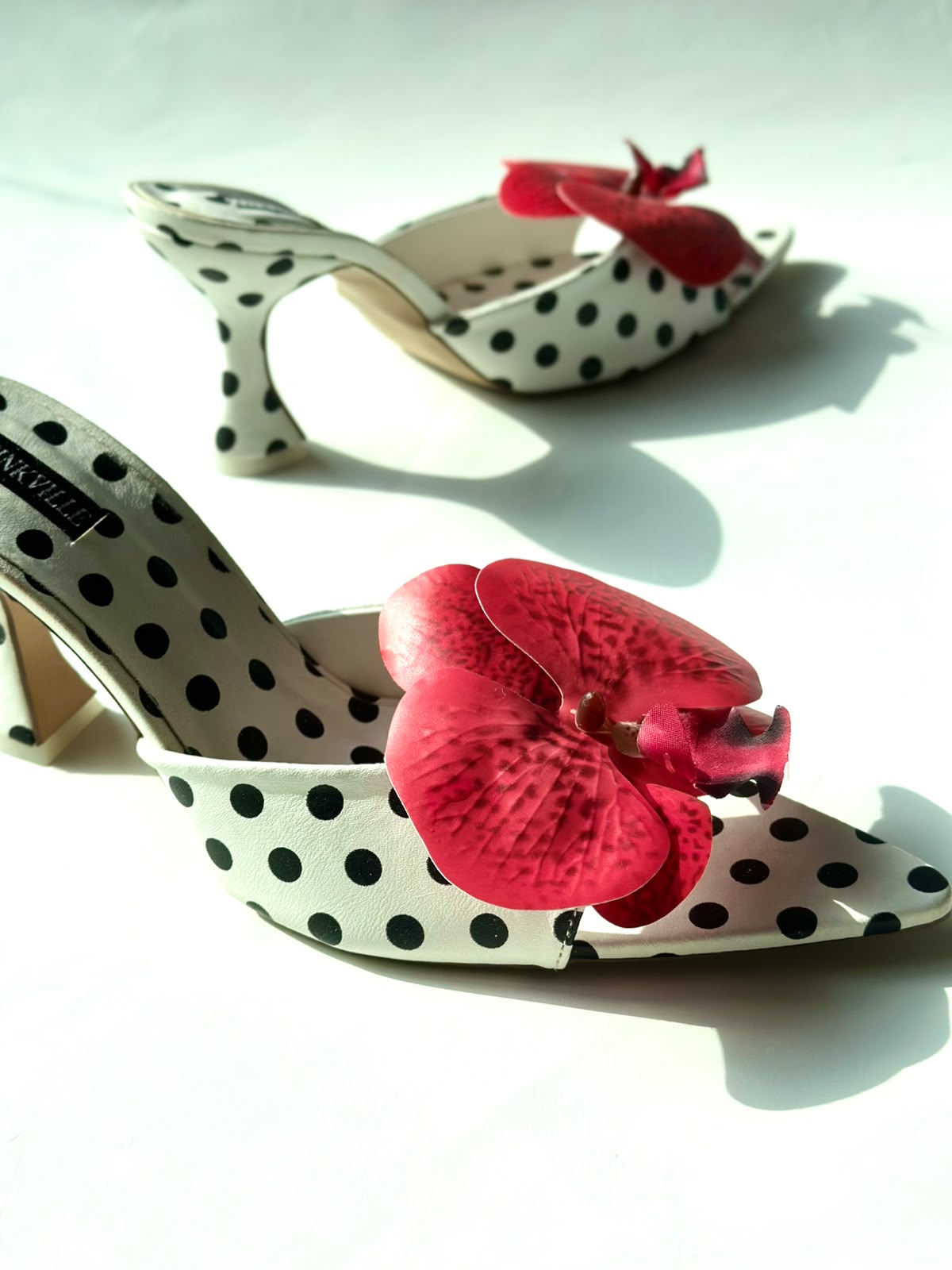 Rossane x Polka