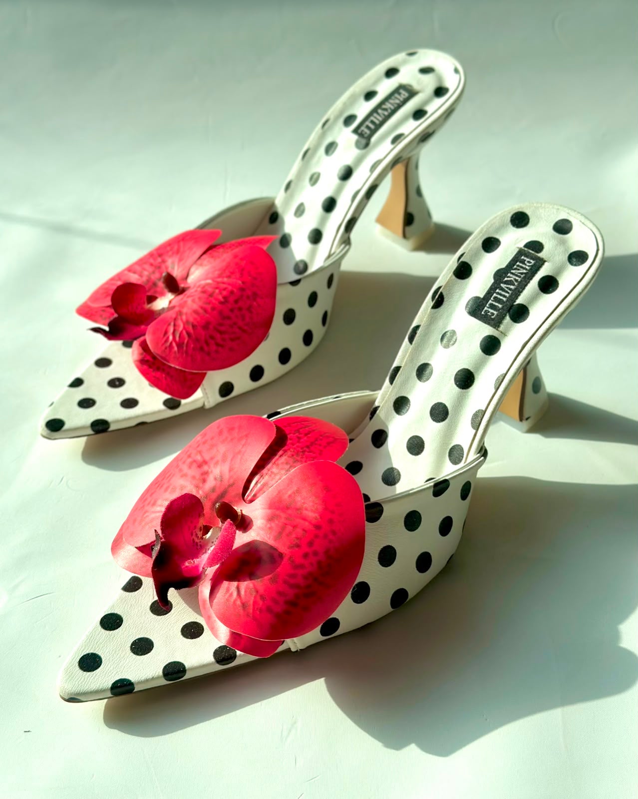 Rossane x Polka