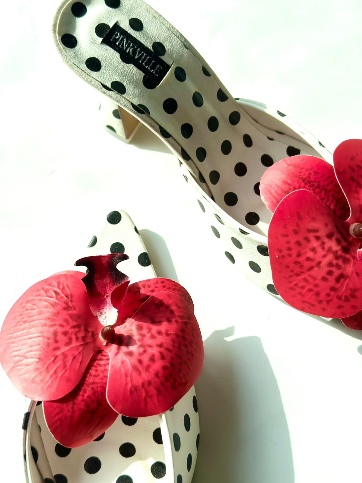 Rossane x Polka