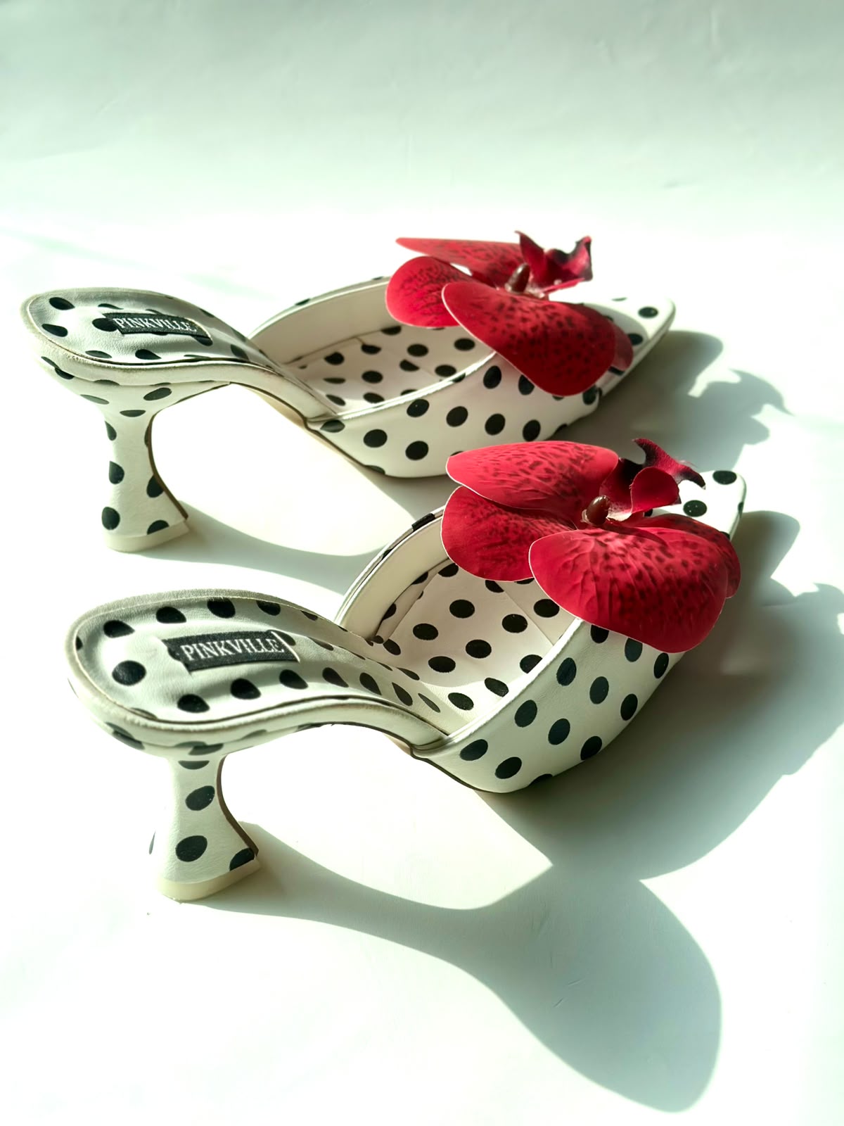 Rossane x Polka