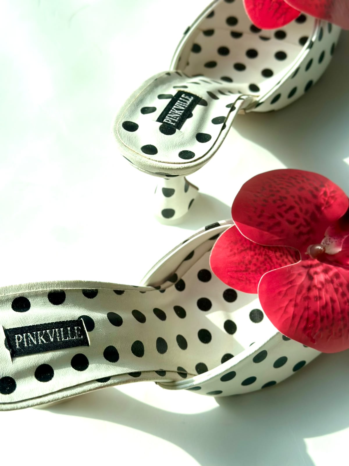Rossane x Polka
